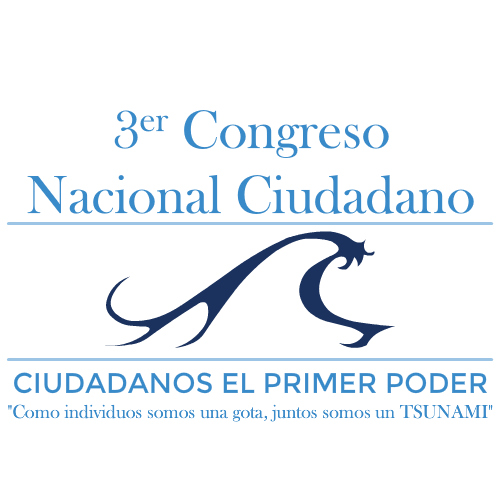 logo v 3 mayusucula TSUNAMI